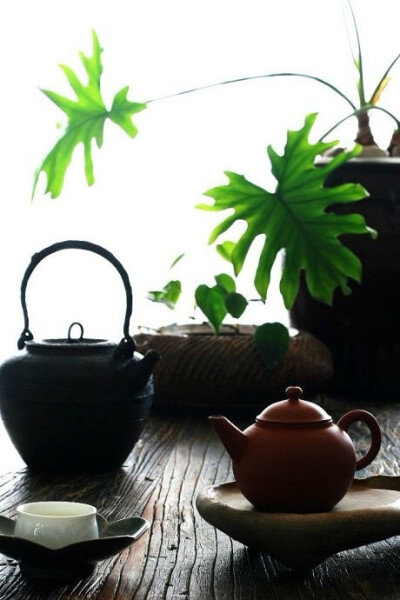 禅茶- 堆糖,美图壁纸兴趣社区