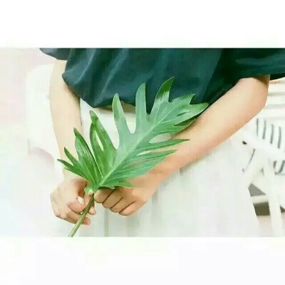 头像,森系,小清新