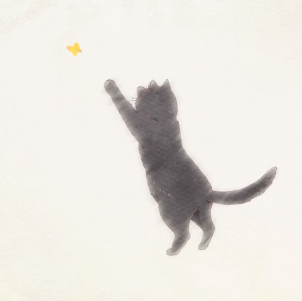 她与她的猫 动漫 头像 黑猫 治愈系 萌 短发 少女 自截