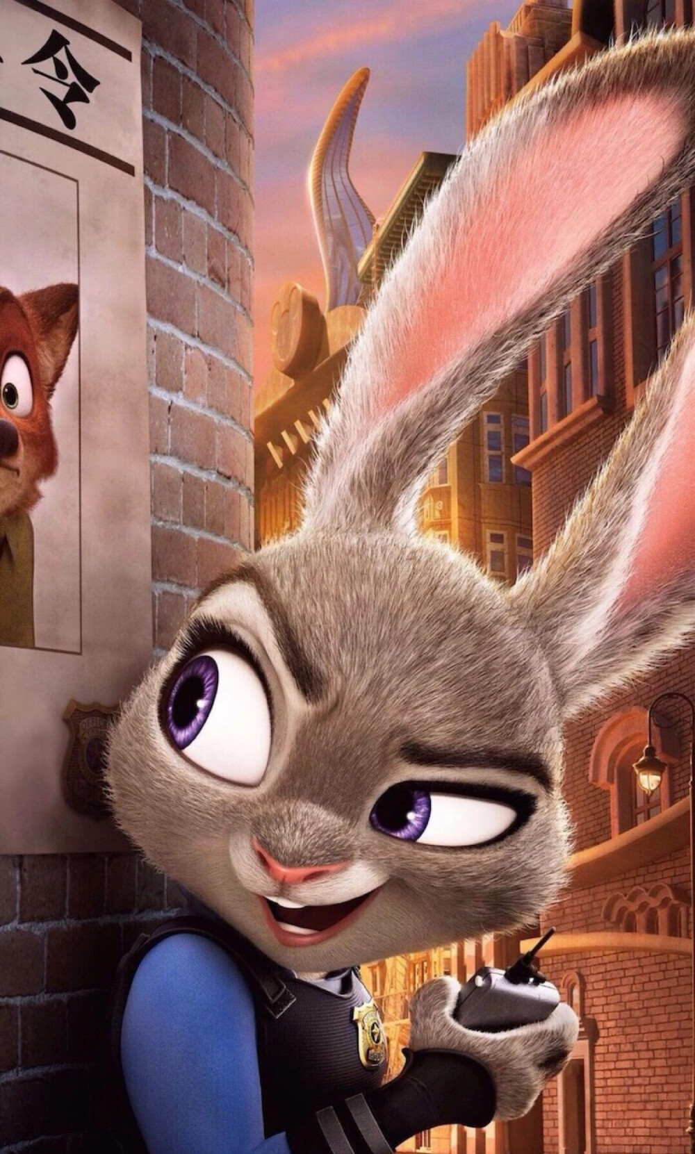 疯狂动物城.萌宠.高清.