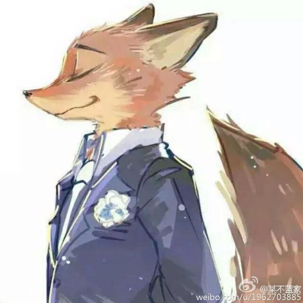 zootopia 疯狂动物城狐兔and狐尼克&兔朱迪兔子 情头 微博转 见水印