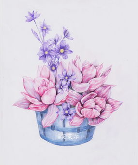 彩铅植物,花卉