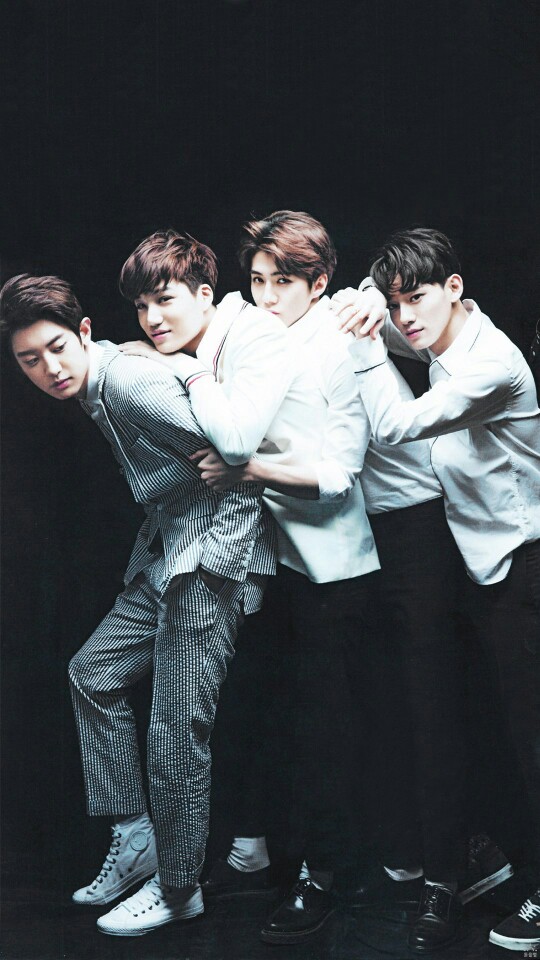 exo##朴灿烈##吴世勋##鹿晗##边伯贤##吴亦凡##张艺兴##金俊绵##金钟