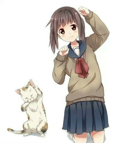 二次元蓝色猫