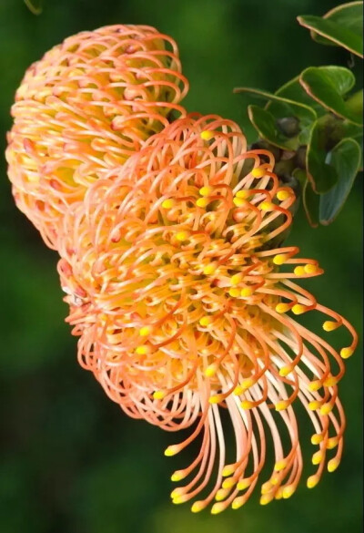 400_585竖版 竖屏