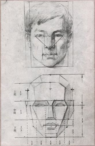 素描人脸比例结构图图片