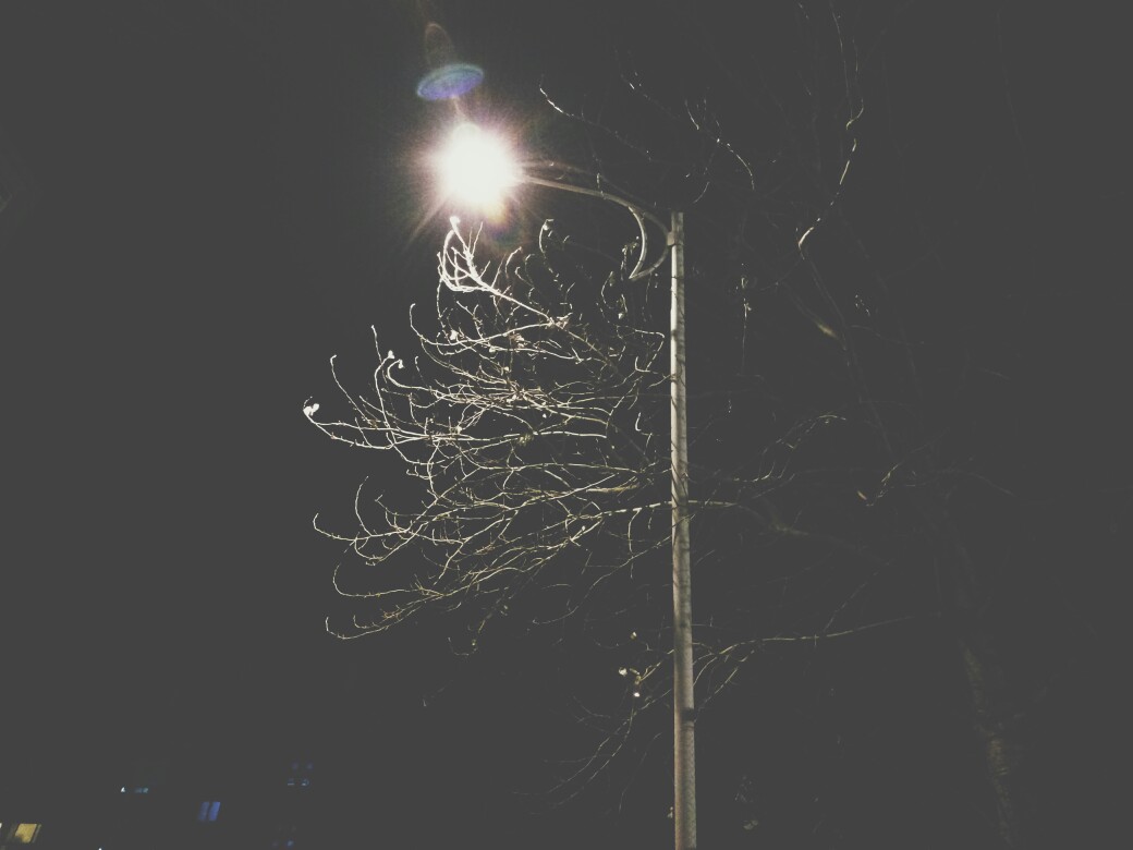 夜晚的路灯