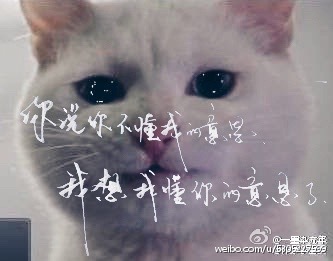 (李宫俊的诗:你说你不懂我的意思,我想我懂你的意思了.