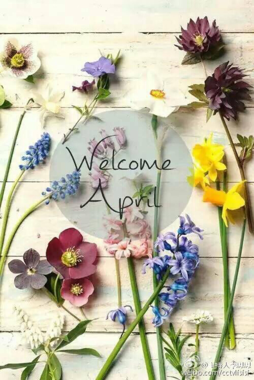 helloapril