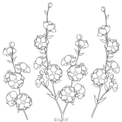 绘画学习# 花卉线稿设计绘制素材!