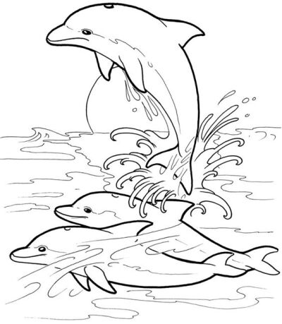 海豚图片手绘y图片