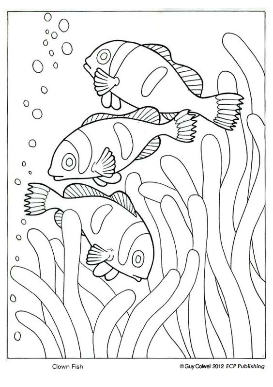 画小丑鱼的步骤和画法图片