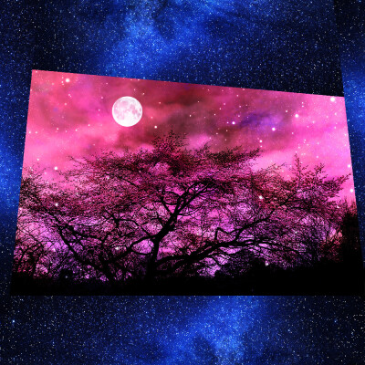 星空画樱花树油画图片