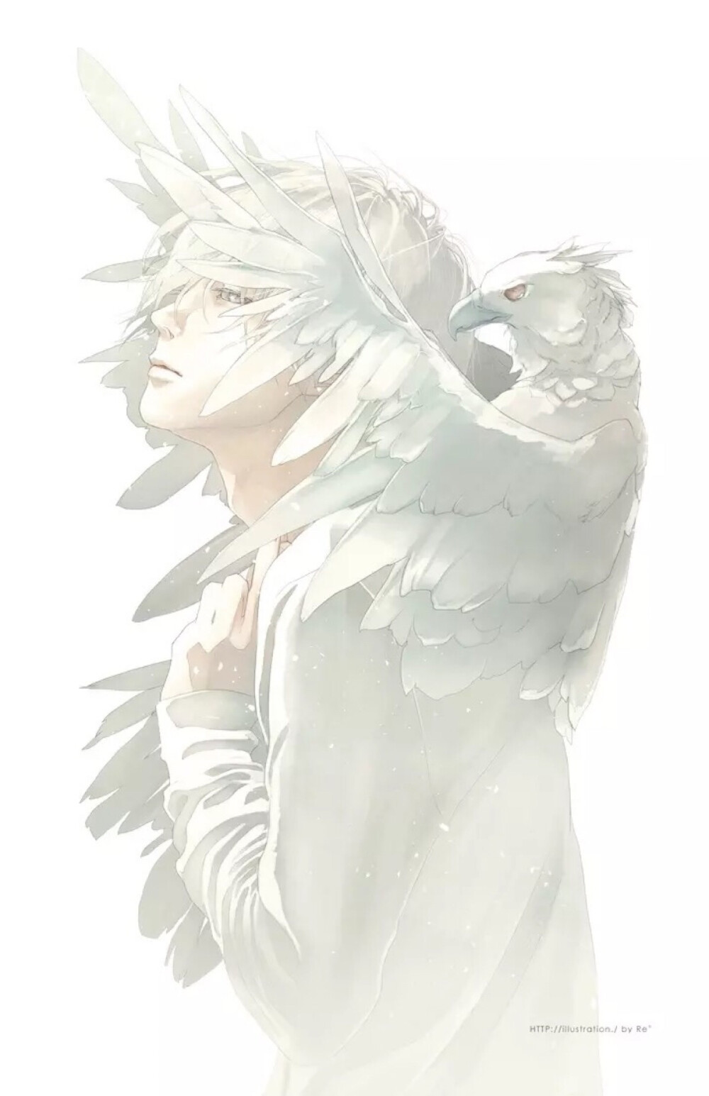 堆糖,美图壁纸兴趣社区