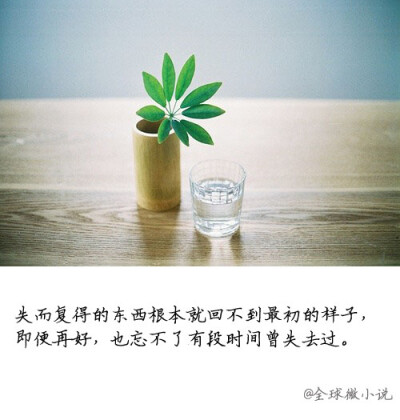 失而复得,却回不到最初的模样.