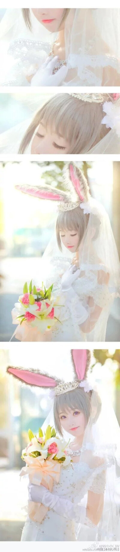 尼克@w小小白w,朱迪@小柔seeu.