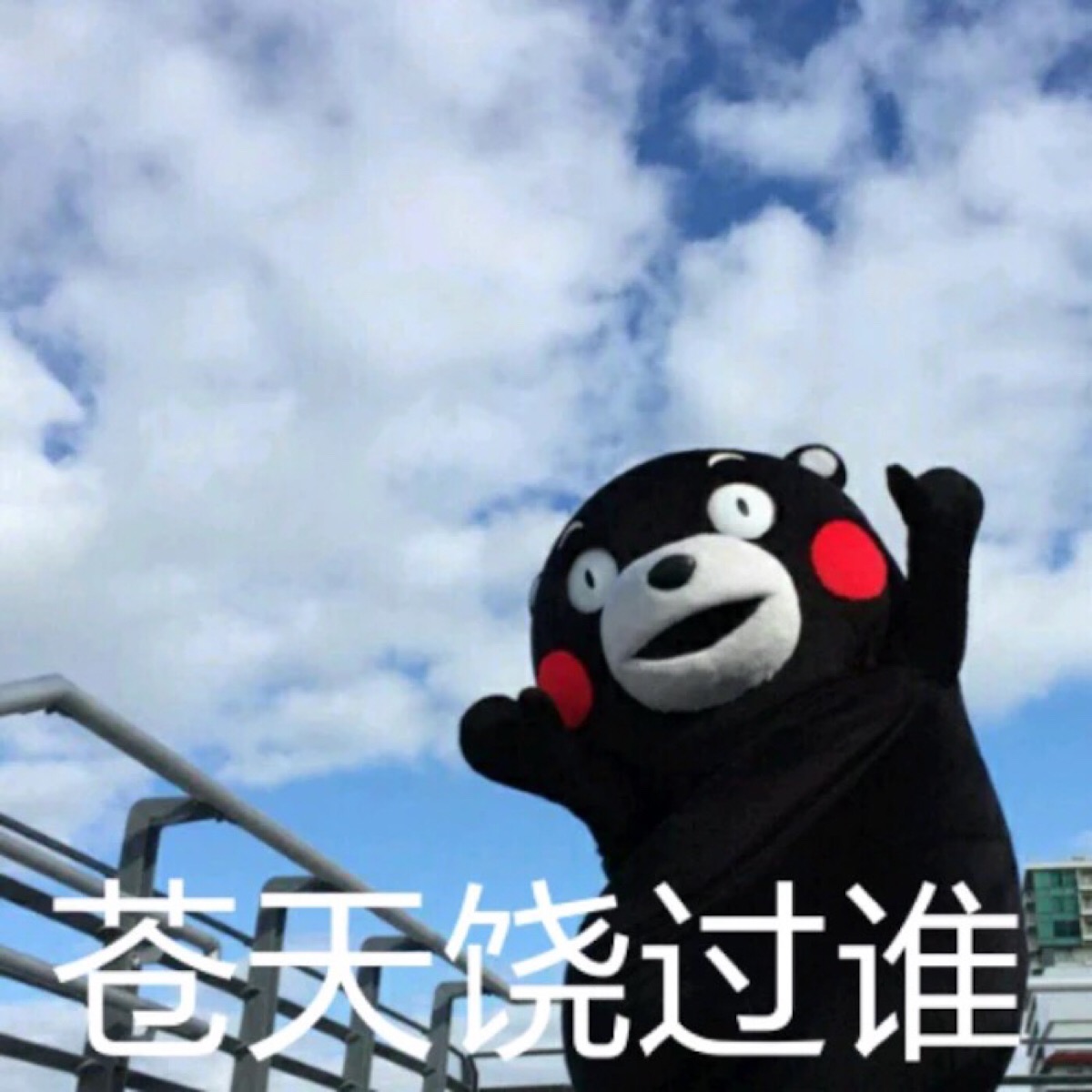 熊本熊表情包