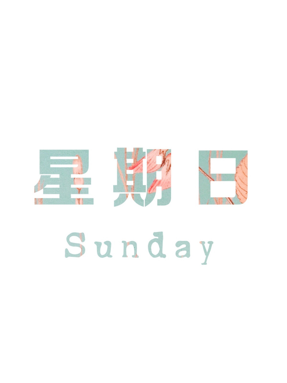 sunday好看的字体图片