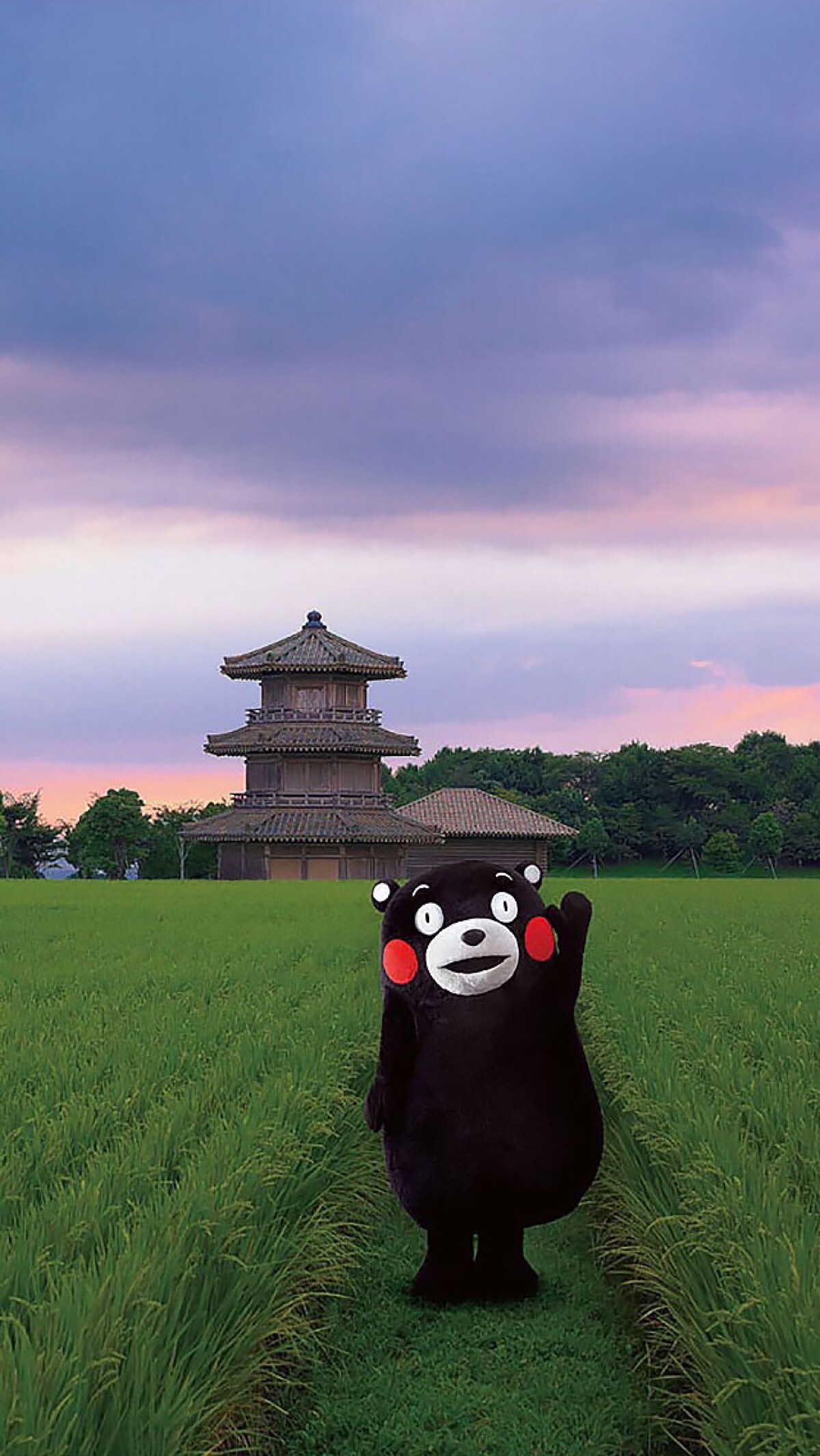 kumamon 熊本熊