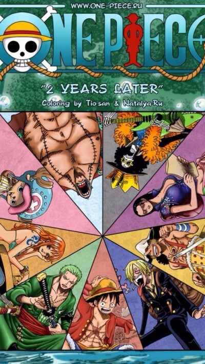 onepiece 草帽海贼团 路飞,娜美,山治乔巴,布鲁克,弗兰奇,布鲁克罗宾