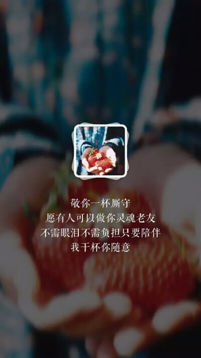 敬你一杯洒脱愿你今生不做诗人做一个不知爱情的浪子我干杯你随意