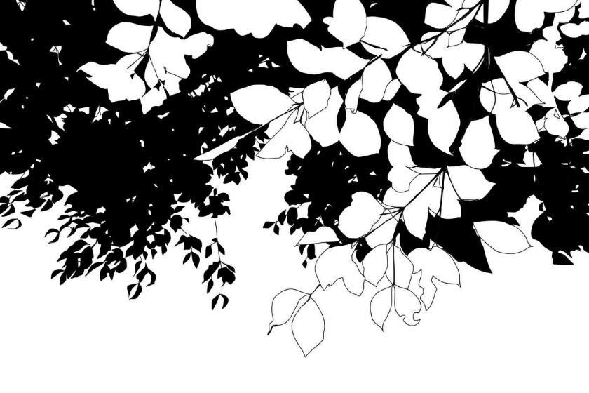 橡皮章果冻素材黑白叶子虐