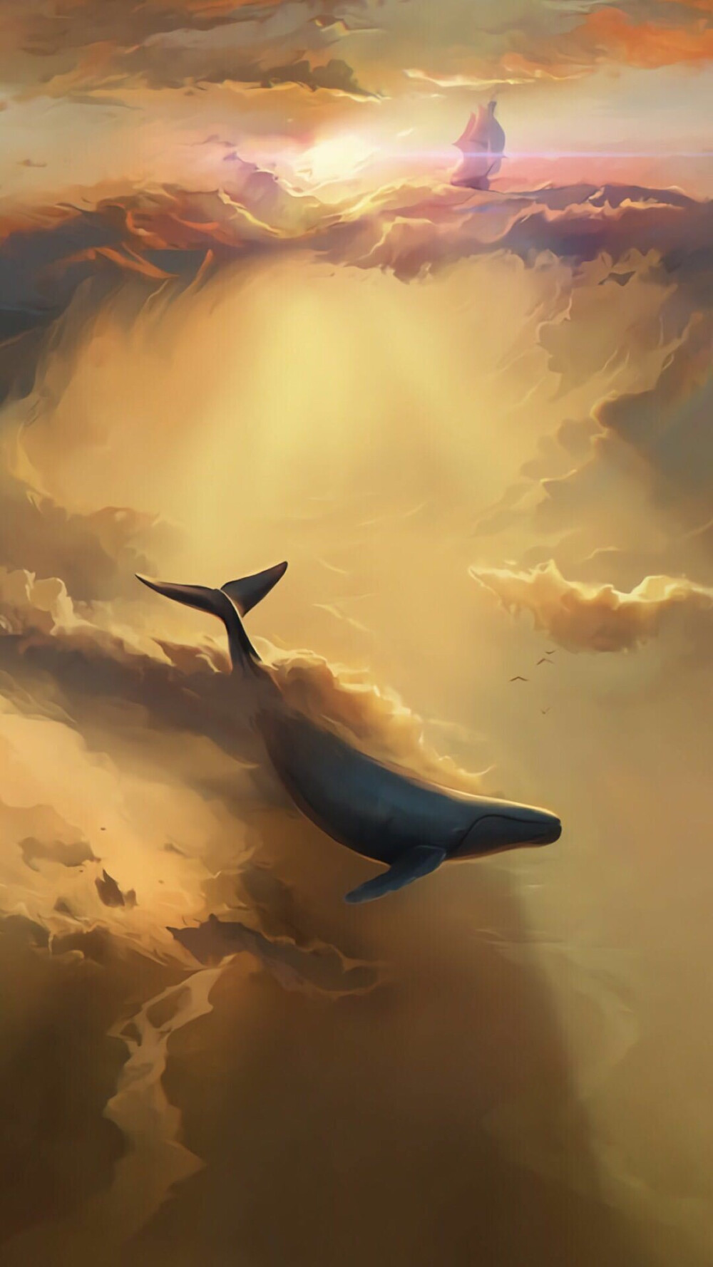 超清唯美鲸鱼手机壁纸图片