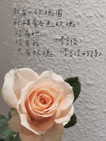 玫瑰花的样子10字图片