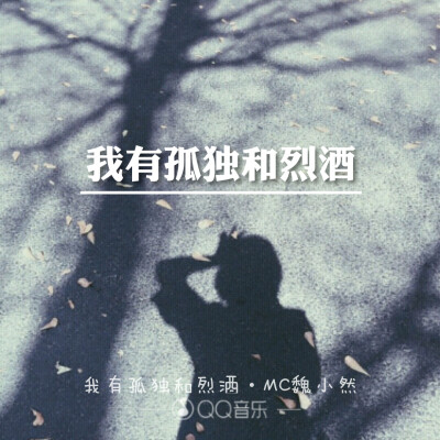 我有孤独和烈酒