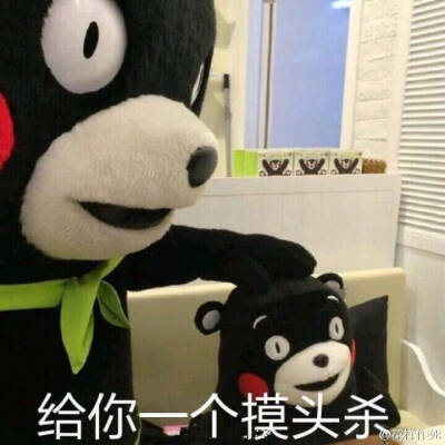 熊本表情包