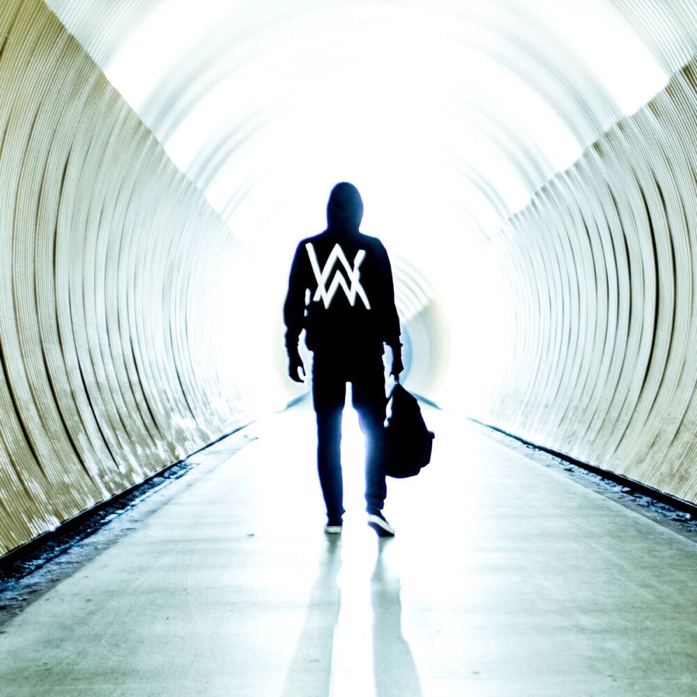 faded歌手alanwalker