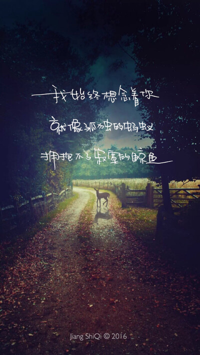 寂寞的鲸鱼】手机壁纸屏幕背景 欧美唯美 文艺字幕汉字 情感伤感快乐