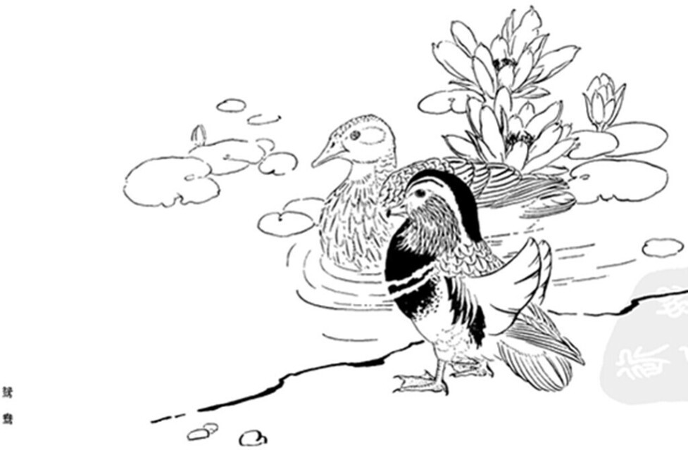 只羡鸳鸯不羡仙白描