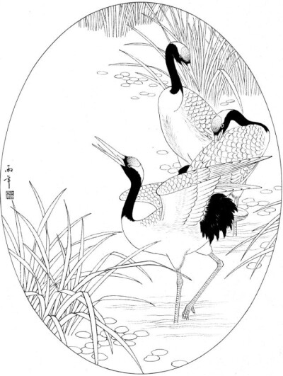 白鹤 线描画图片