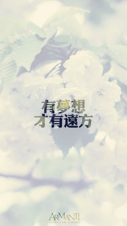 立于风中的elsa【有梦想,才有远方.