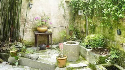 想要一个院子种种花养养草
