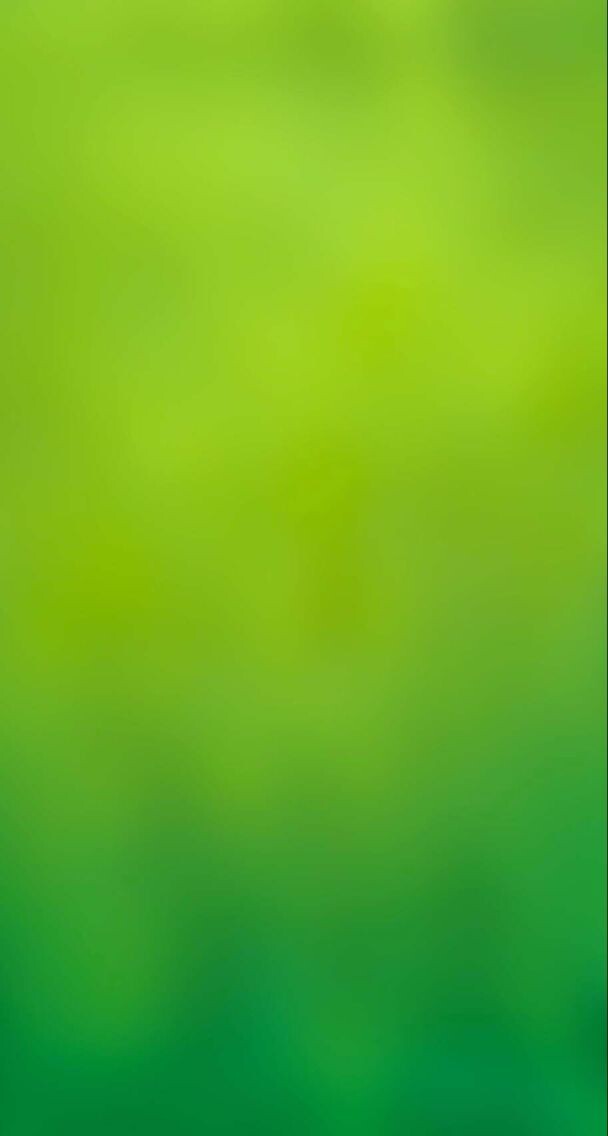 纯绿色手机壁纸图片