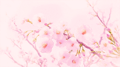 3d樱花动态壁纸图片