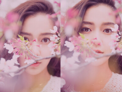 Angelababy晒樱花自拍,Angelababy晒樱花自拍 甜美 樱花 angelababy