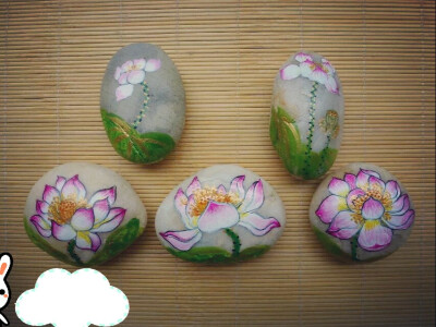 石头绘 荷花