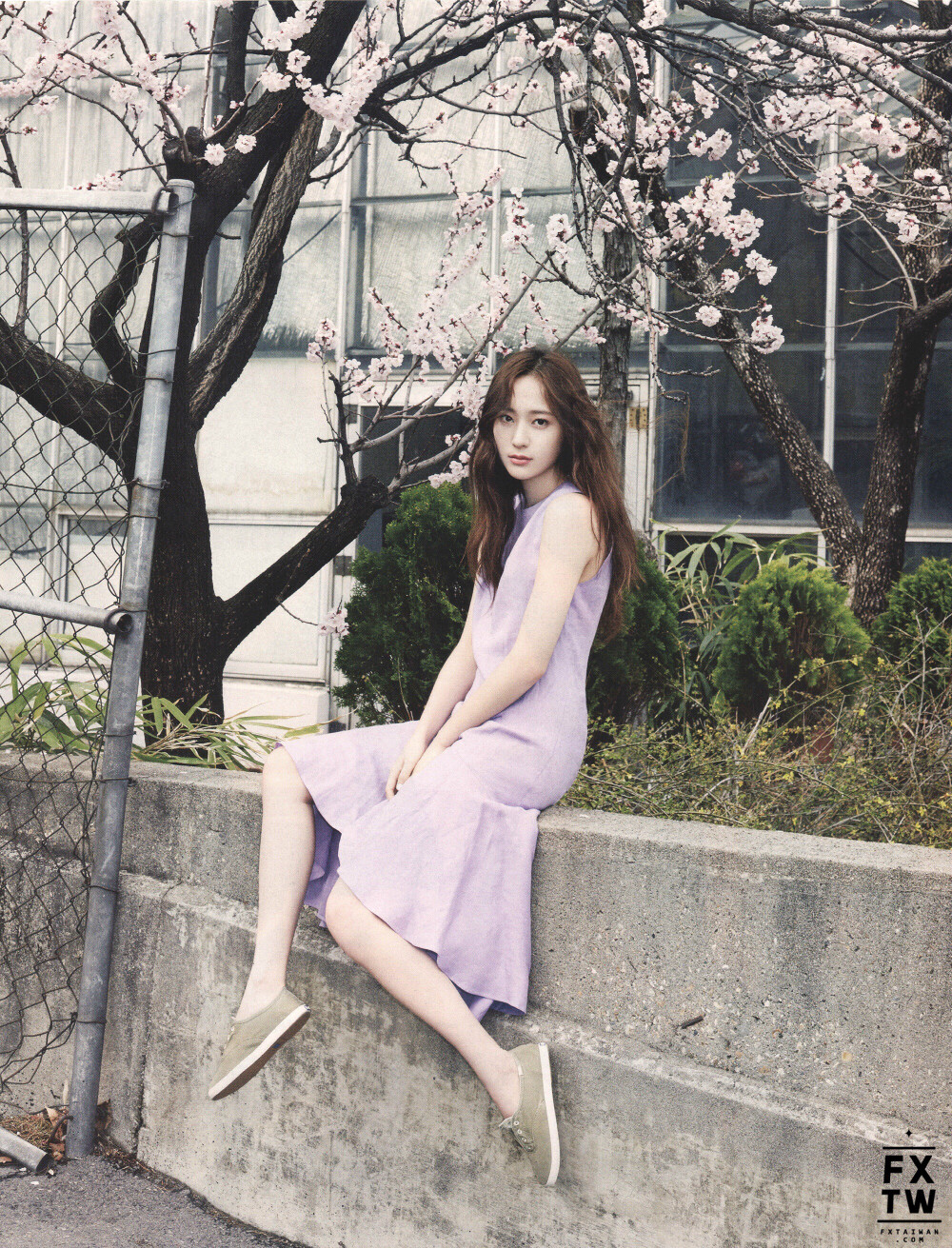 krystal 郑秀晶 fx 头像 画报