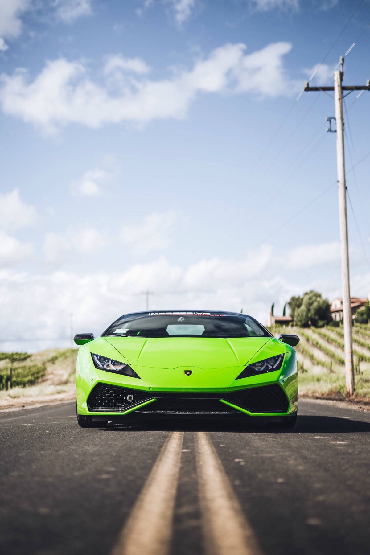 欧美 意境 唯美 摄影 潮流 时尚 街头 动物