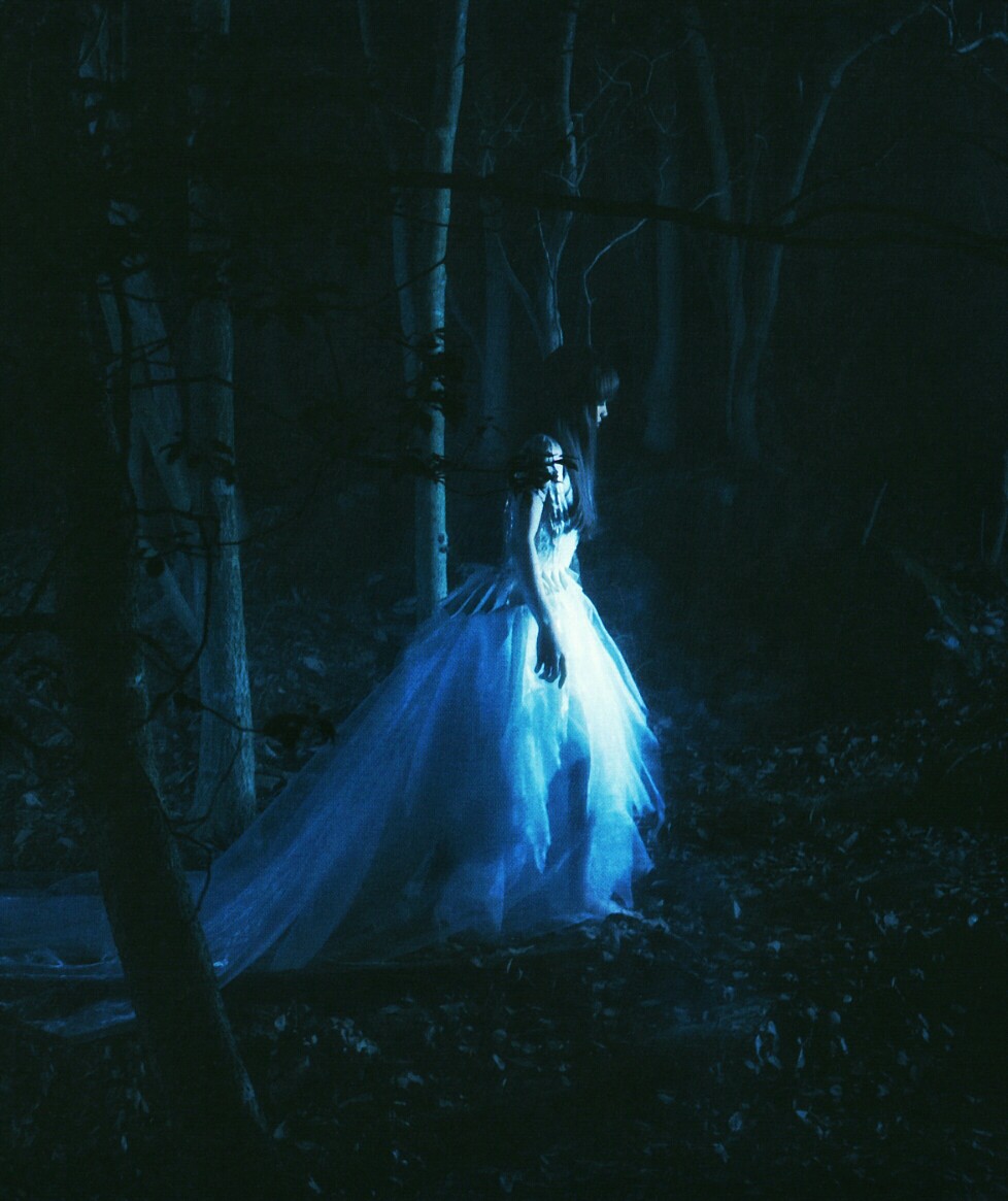 aimer