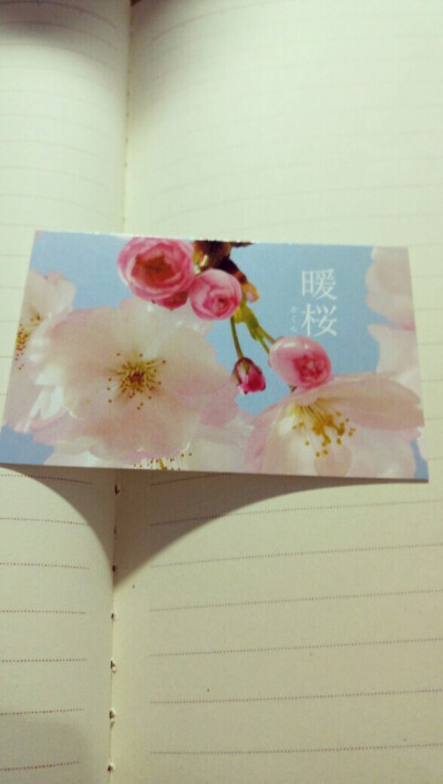 樱暖