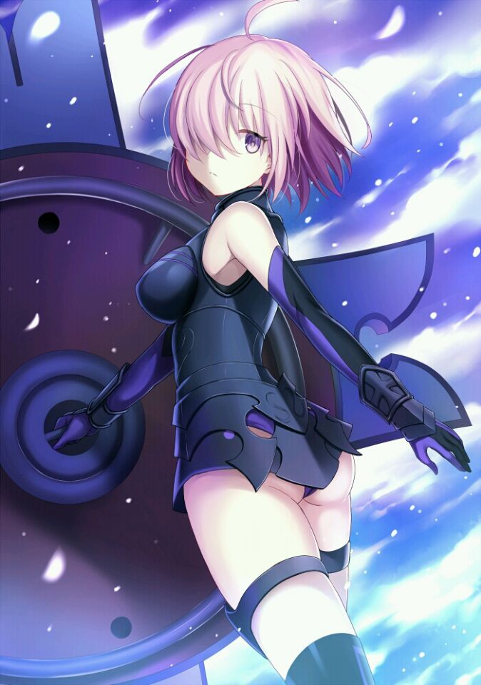 盾娘fate