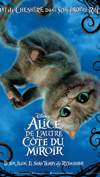 爱丽丝梦游仙境那只猫图片