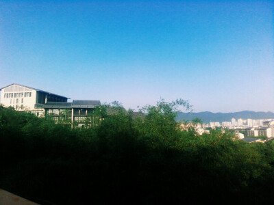 重庆理工大学