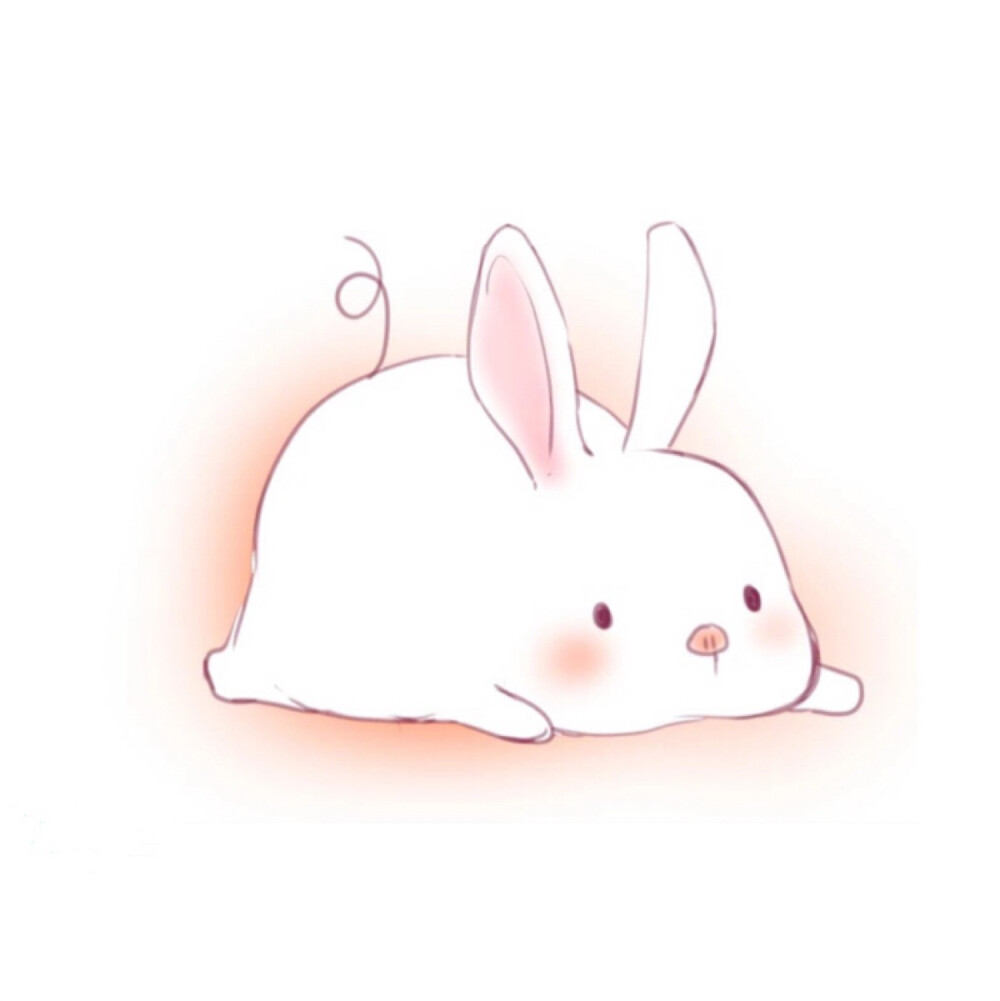 动物萌物插画可爱兔子