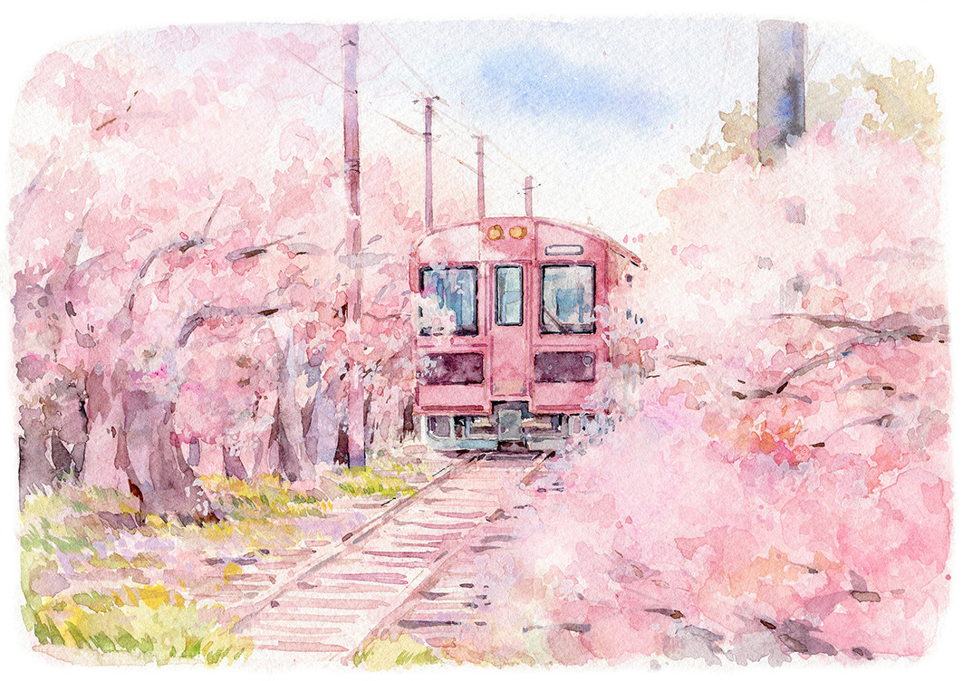 樱花盛景简单绘画图片