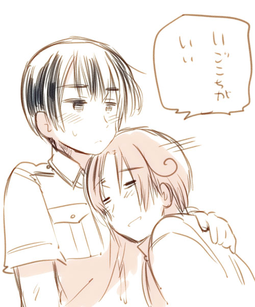 【二次元|动漫|帅哥|aph|黑塔利亚】【本家图|官方|菊(日-本) 费里(北